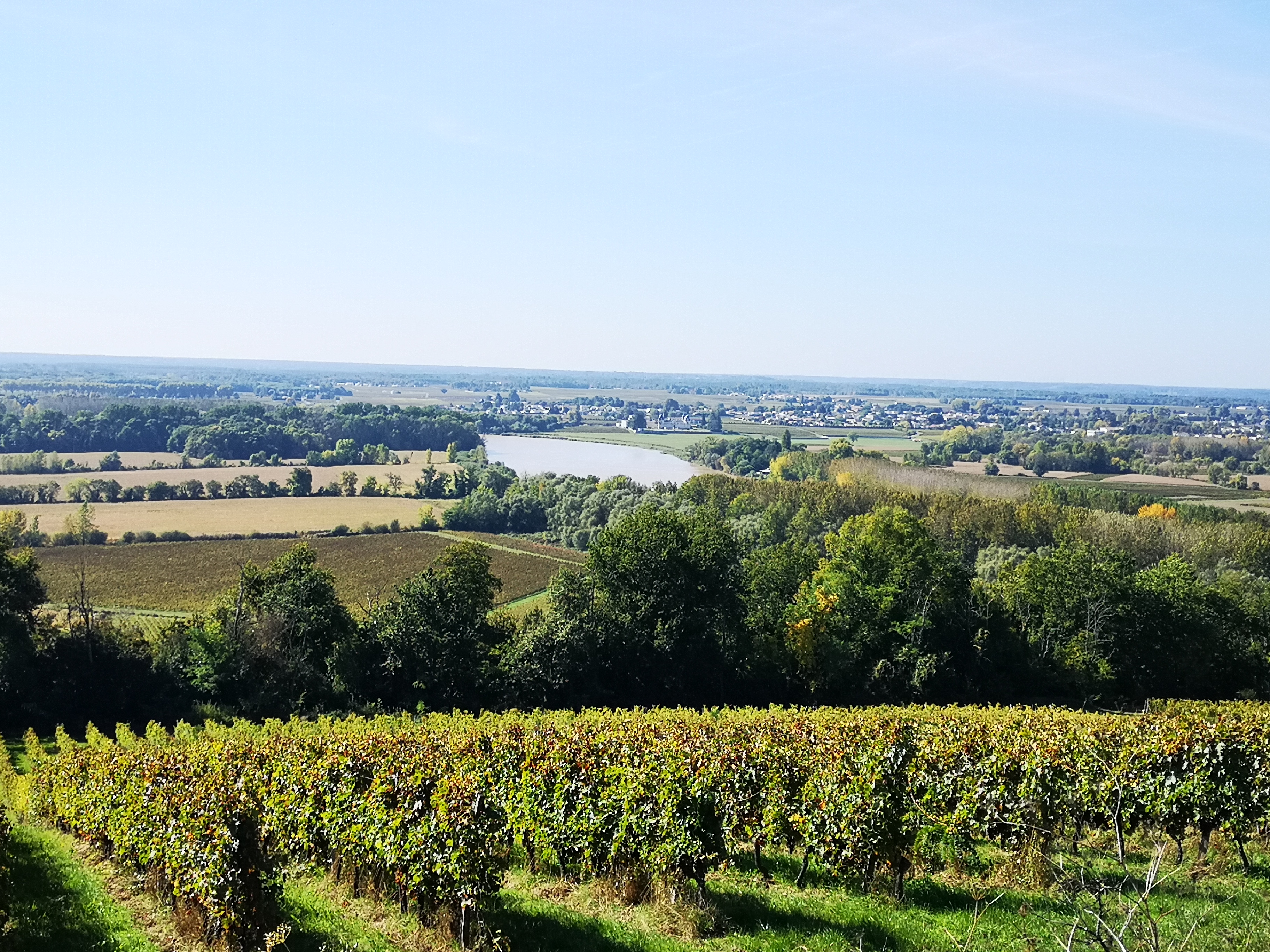 Panorama sur la Garonne