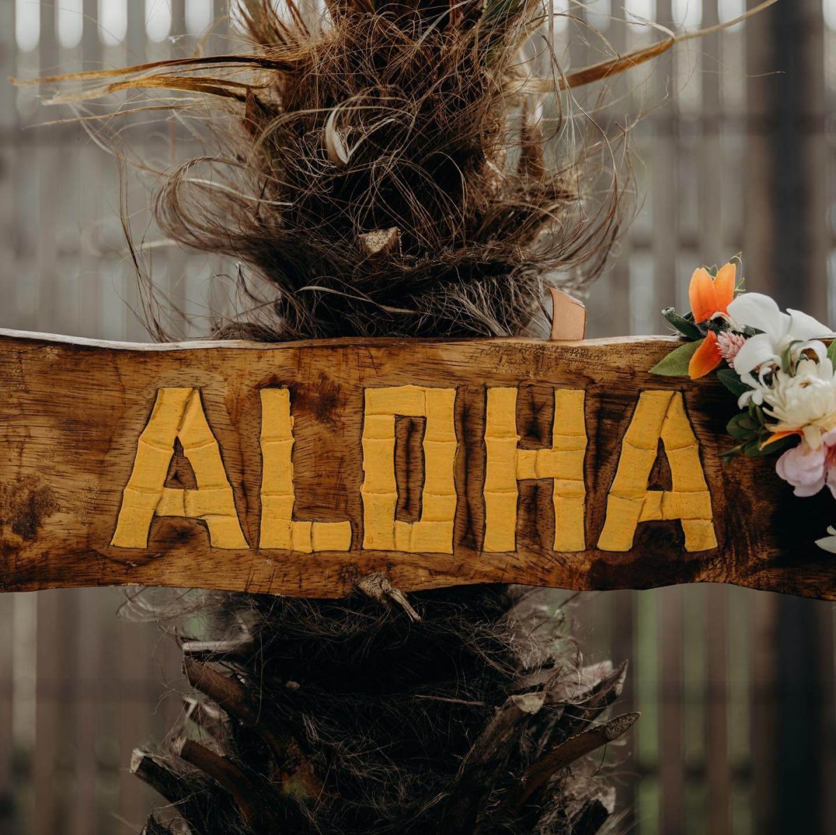 décoration aloha en bois