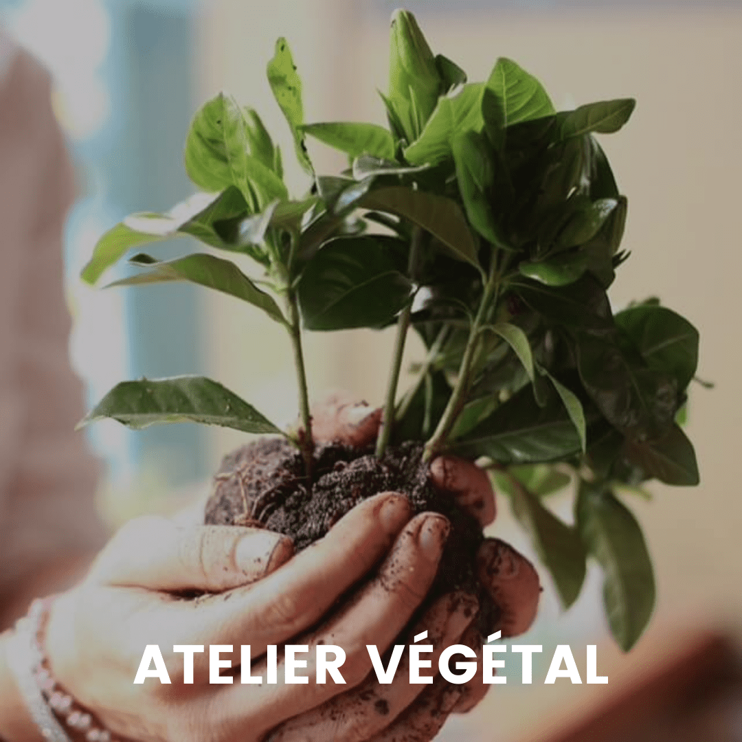 Atelier végétal