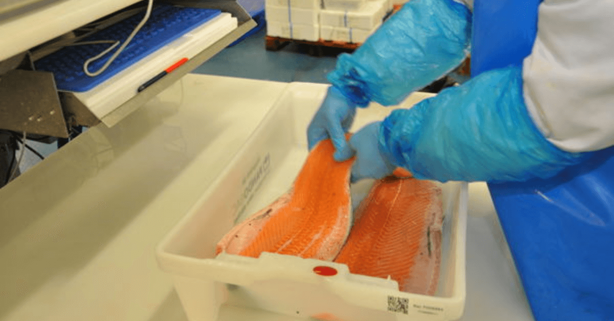 Bac à poisson en plastique lavable pour restaurateurs
