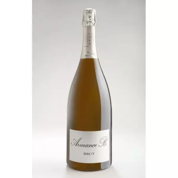 Armance - B Blanc Chardonnay VMQ Magnum.jpg