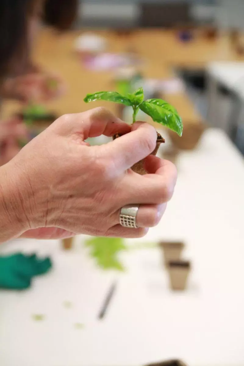 Atelier bouturage