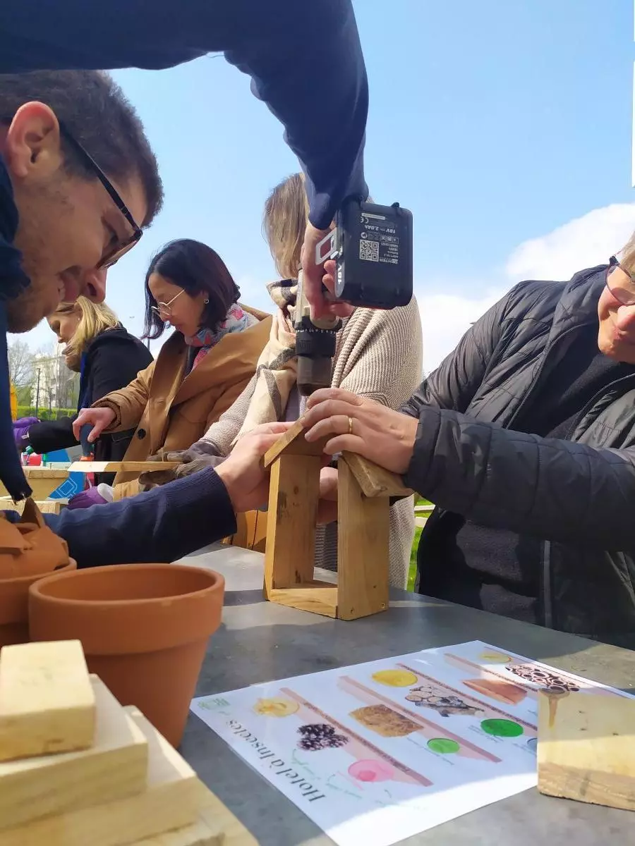 Atelier création hôtel à insectes