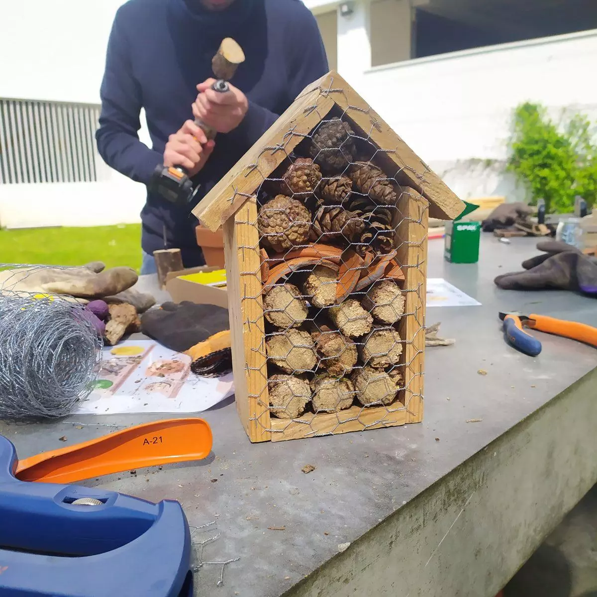 Atelier création hôtel à insectes