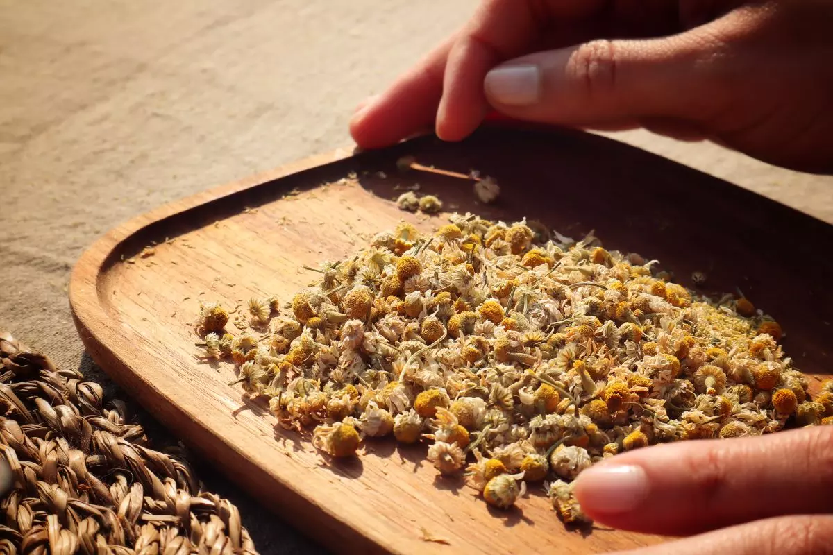 Atelier création de tisane