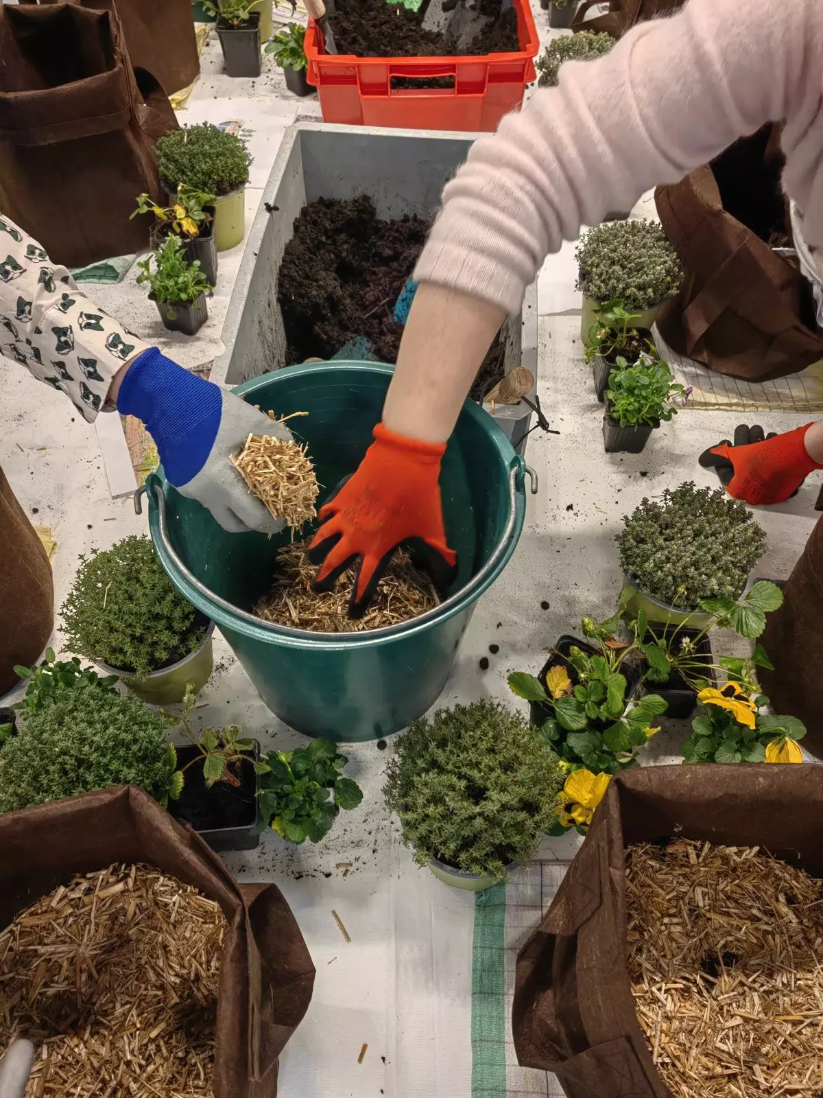 Atelier création wicking bed