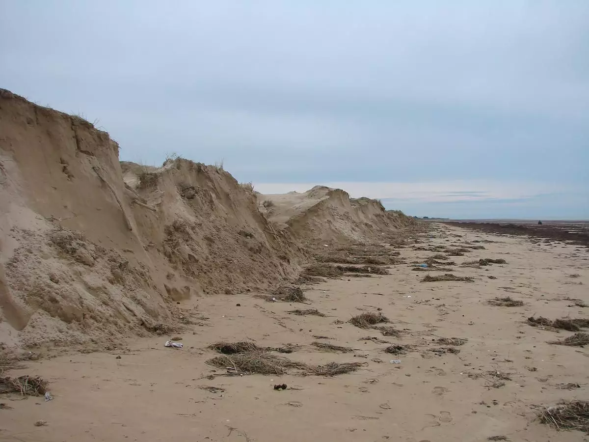 Cordon Dunaire - ONF Protection des Dunes