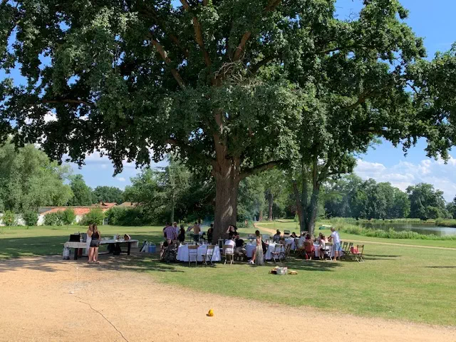 déjeuner sous l'arbre