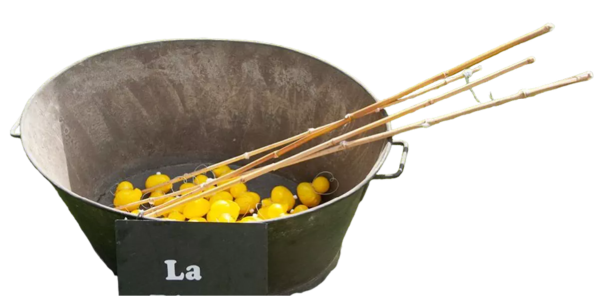 Pêche aux canards