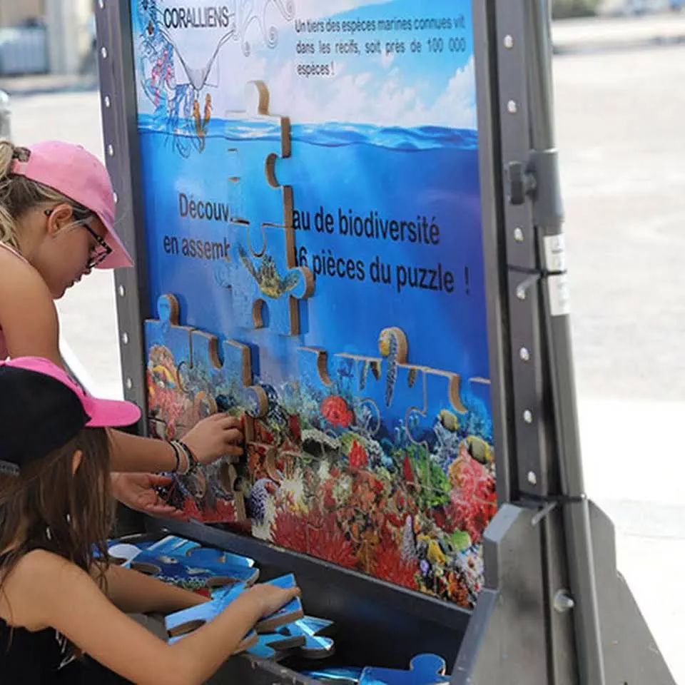 Puzzle : « Les récifs coralliens, joyau de biodiversité»