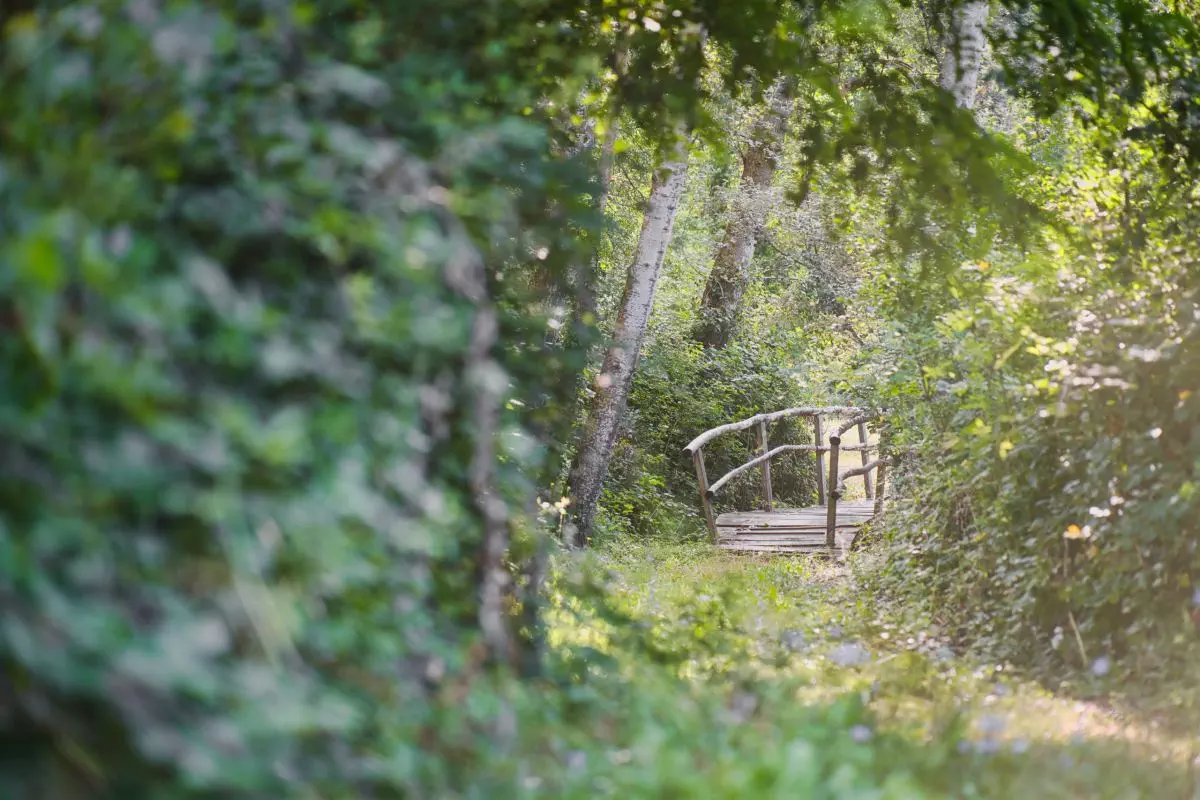 Petit pont de la mare