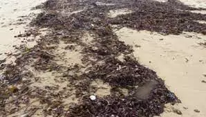 Laisse de Mer 2