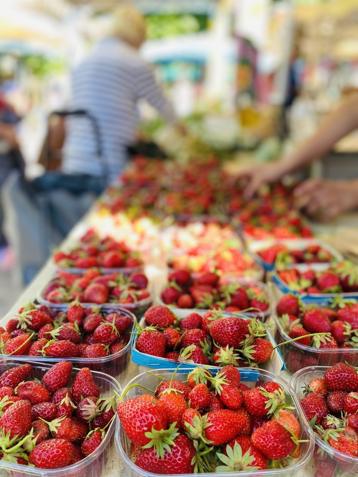 Marché bio du Cours Julien - les fraises  