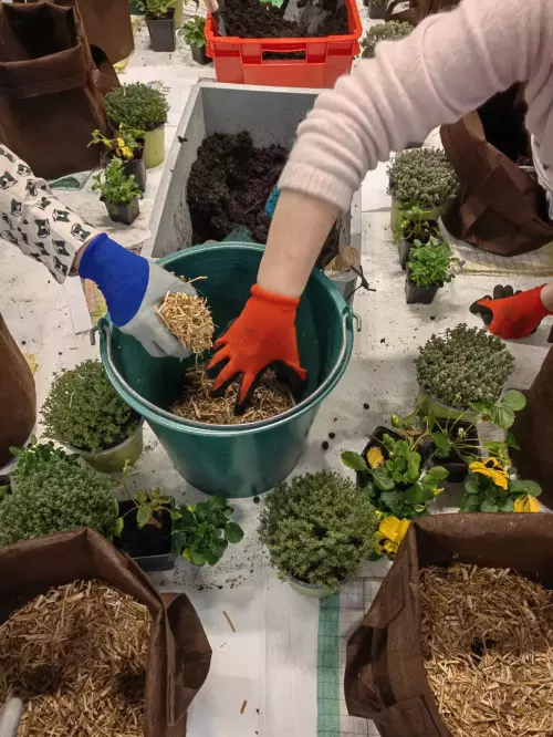 Visite et atelier création d'un wicking bed