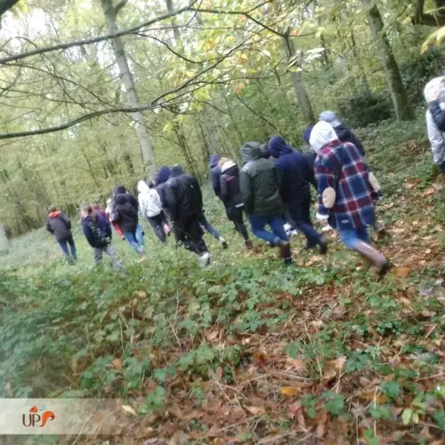 Connexion à la nature en coeur de forêt (séminaire nature)
