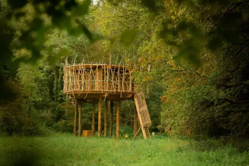 Nuit en cabane observatoire duo SPA