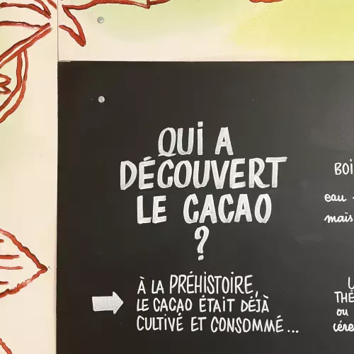 Apprenez à fabriquer vos chocolats, à la chocolaterie