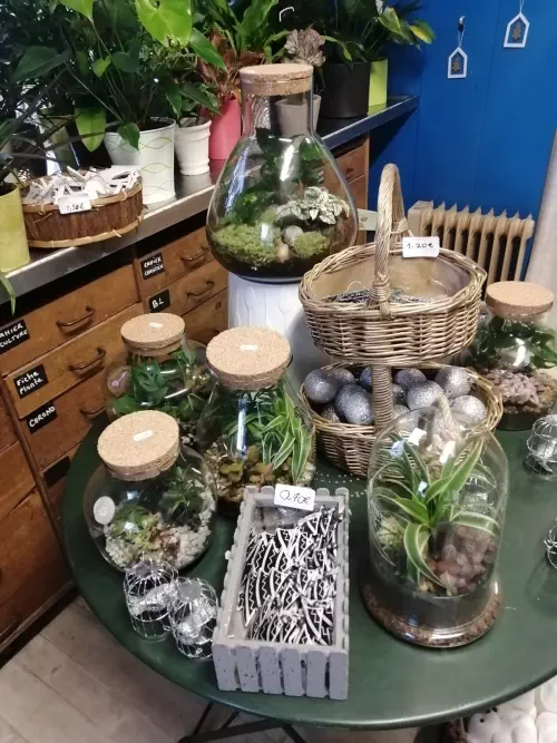 Terrarium