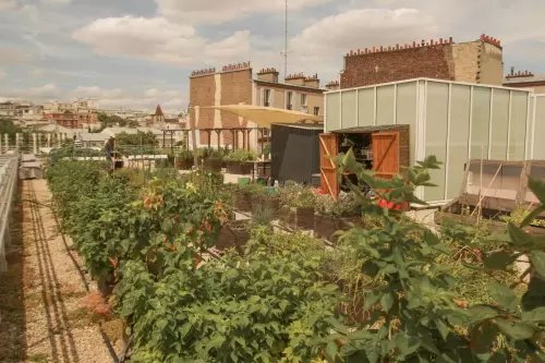 Visite d'une ferme urbaine