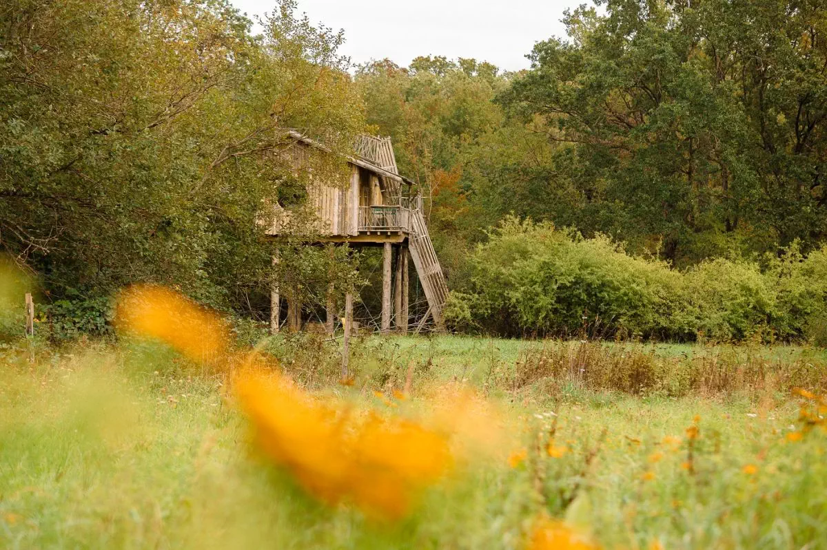 Cabane Observatoire Duo SPA - Repaire du trappeur 