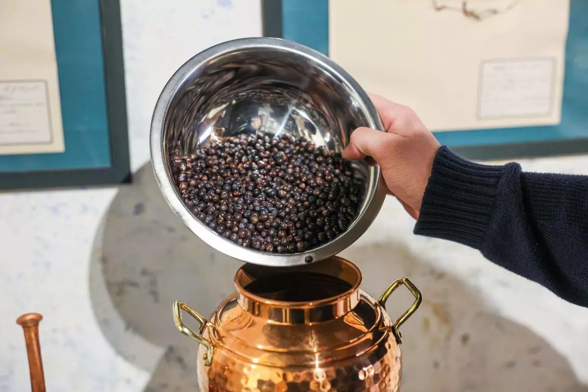 L'Alambic - distillation de baies de genévrier