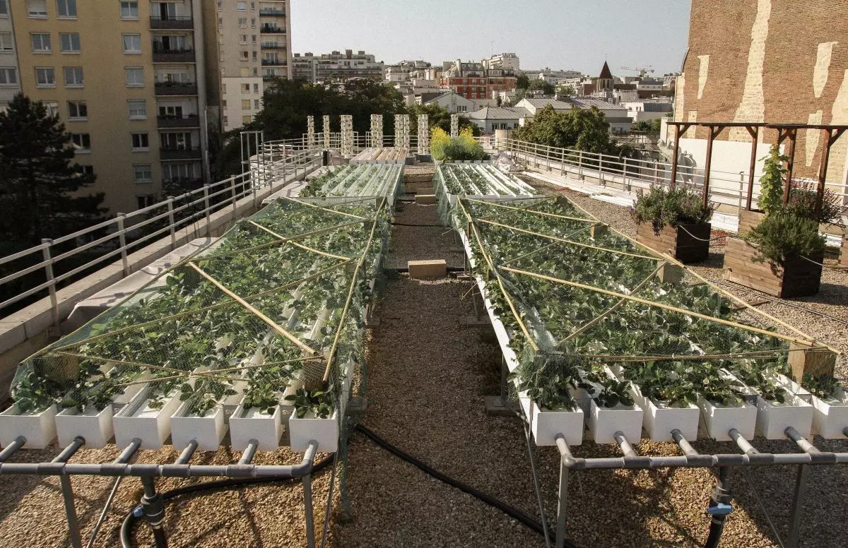 Visite de la ferme urbaine