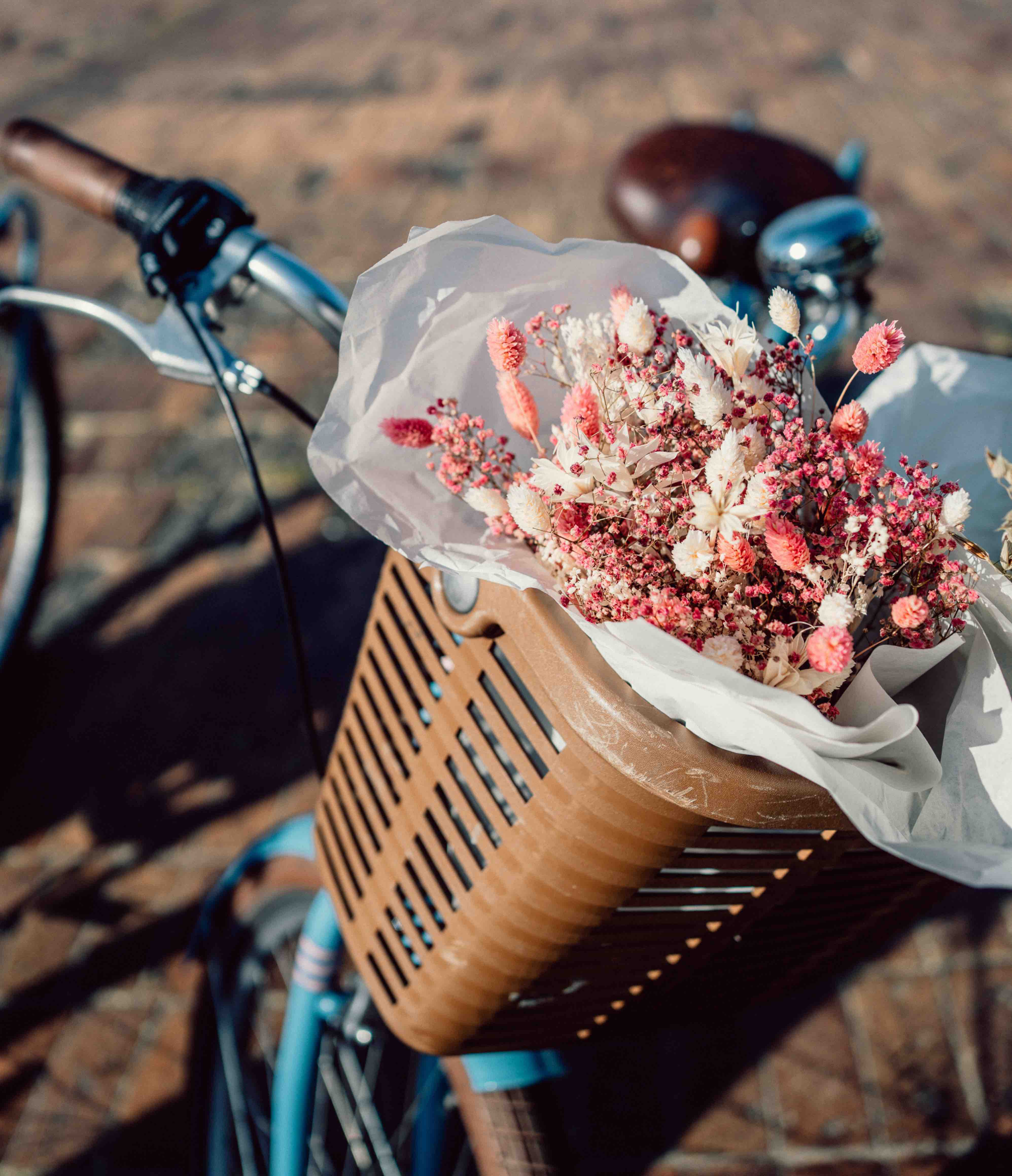 bouquet dans panier vélo