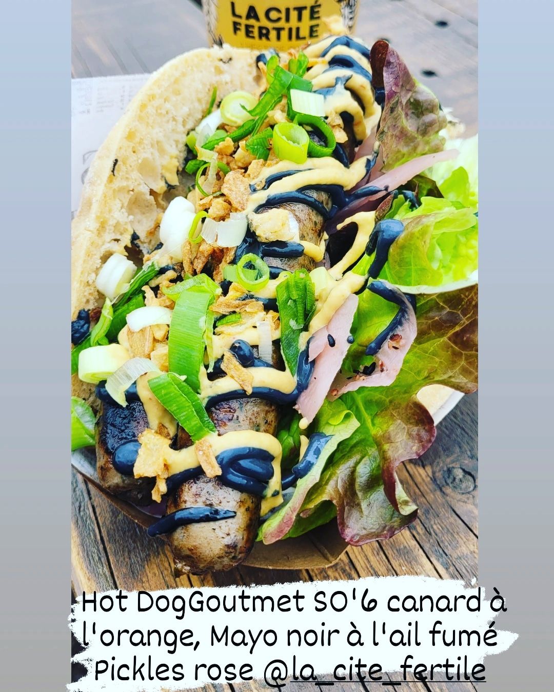 Hot Dog gourmet au Canard