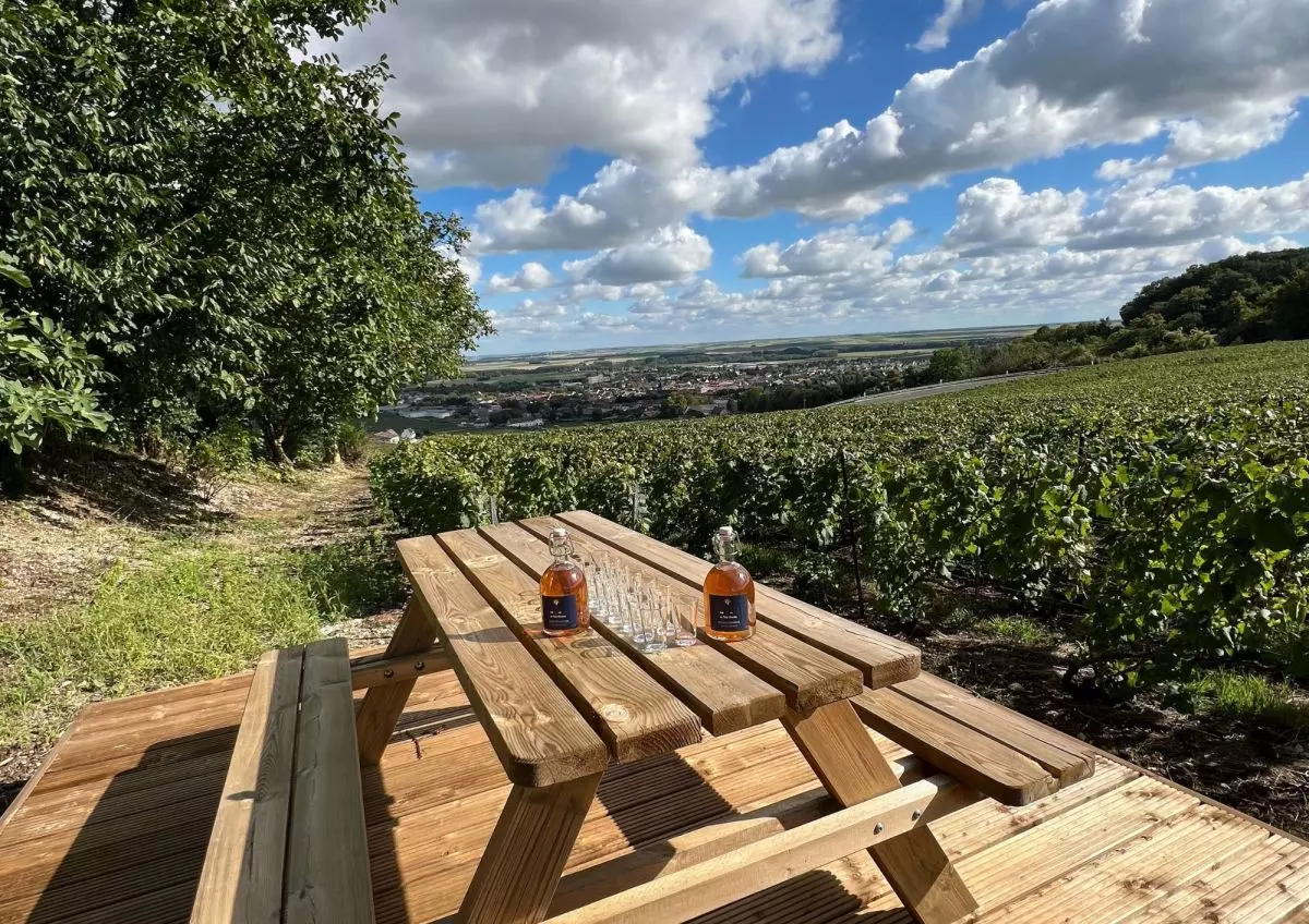 Activité teambuilding à travers notre vignoble