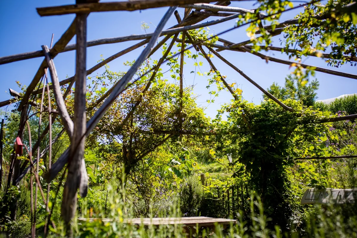 La ferme permacole du Rhône
