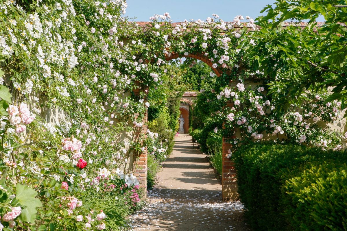 Jardins fleuris du Château