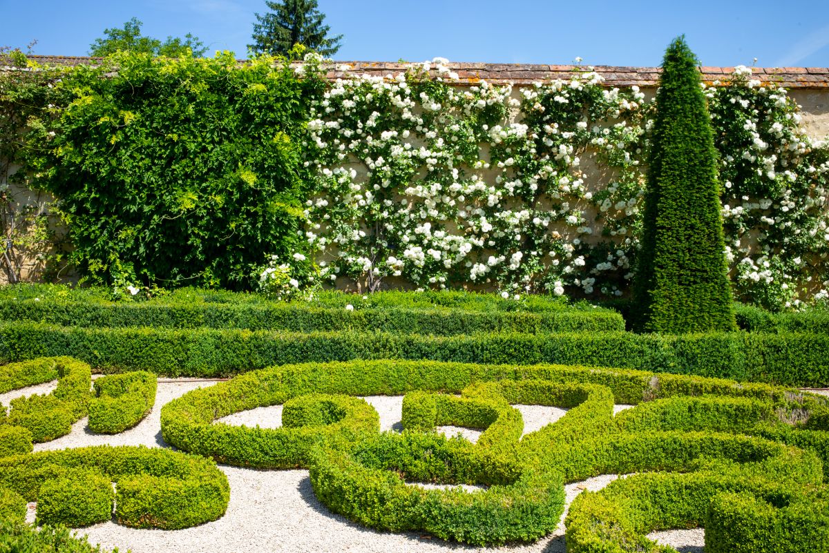 Jardins fleuris du Château