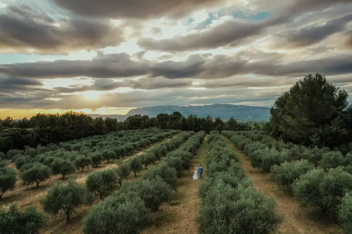 Domaine provençal dans les vignes