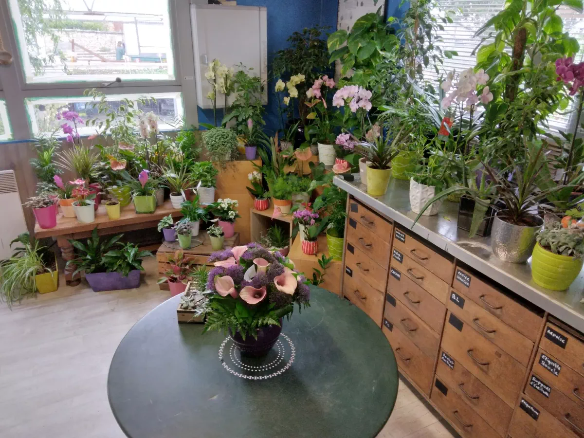 Nos plantes