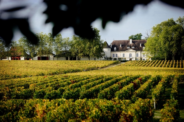 Château dans les vignes en Gironde