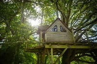 Cabanes dans les arbres en Bretagne