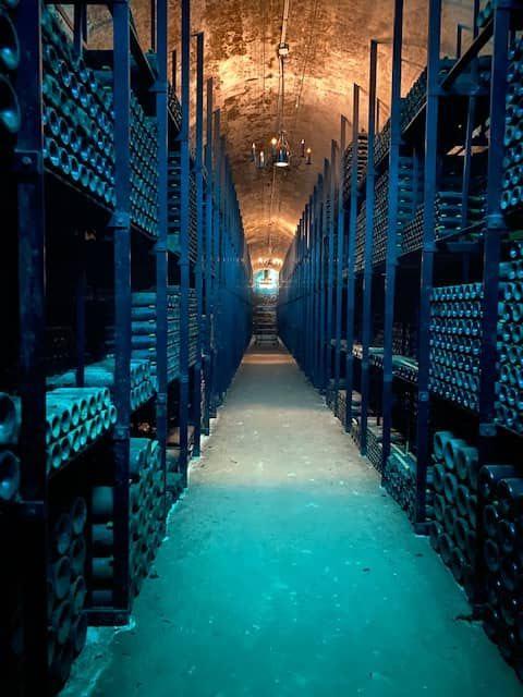 Cave de vins de Bordeaux