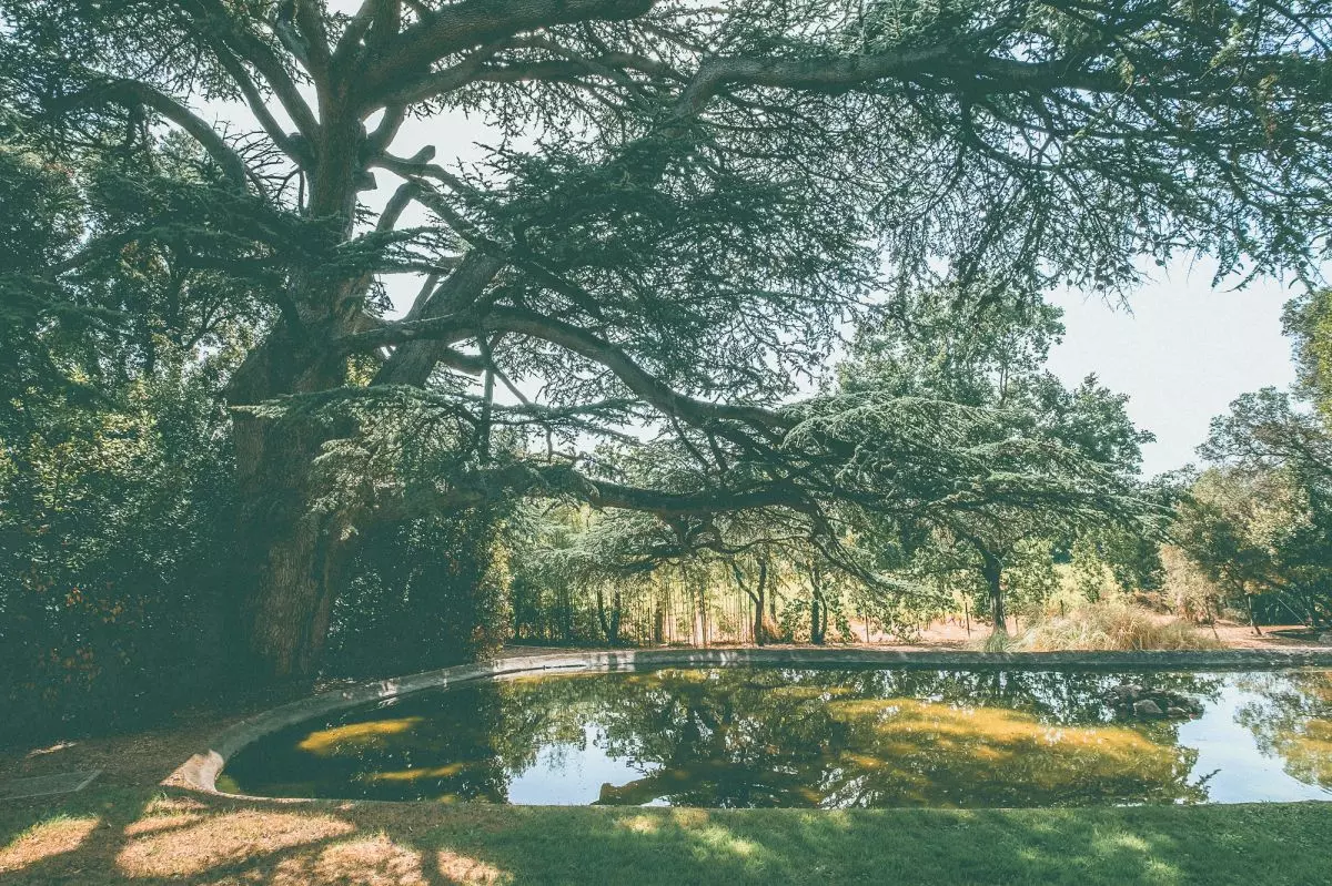 Parc