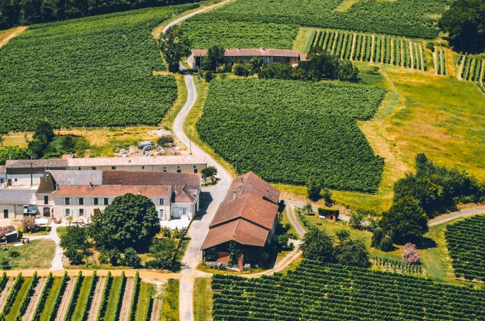 Domaine viticole et ses activités au sud de Bordeaux