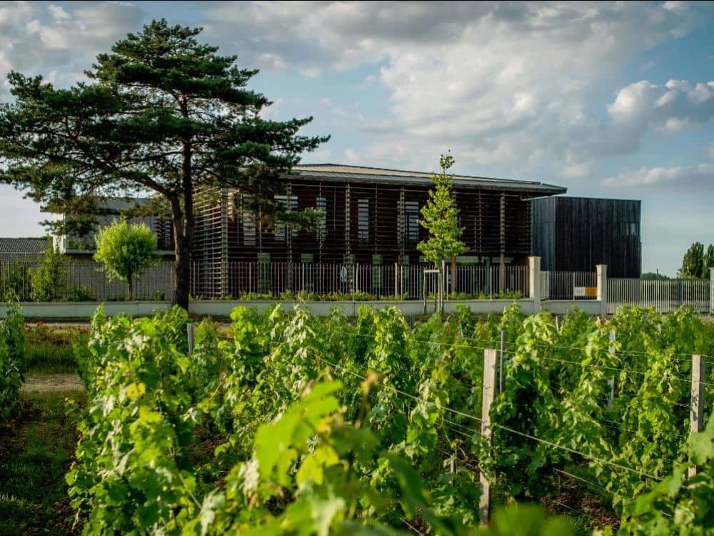 Domaine viticole agro-écologique