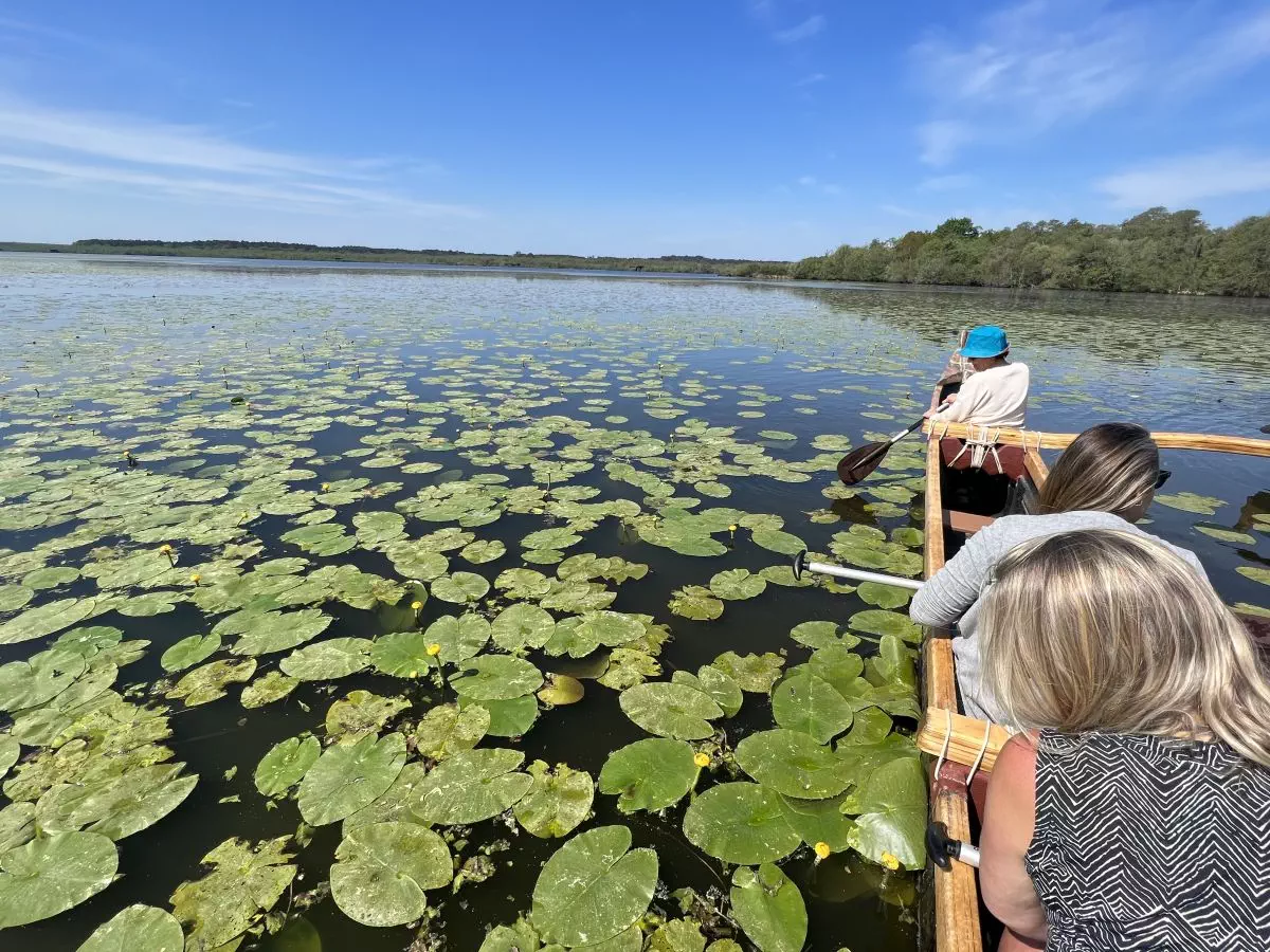 Eco randonnée en pirogue