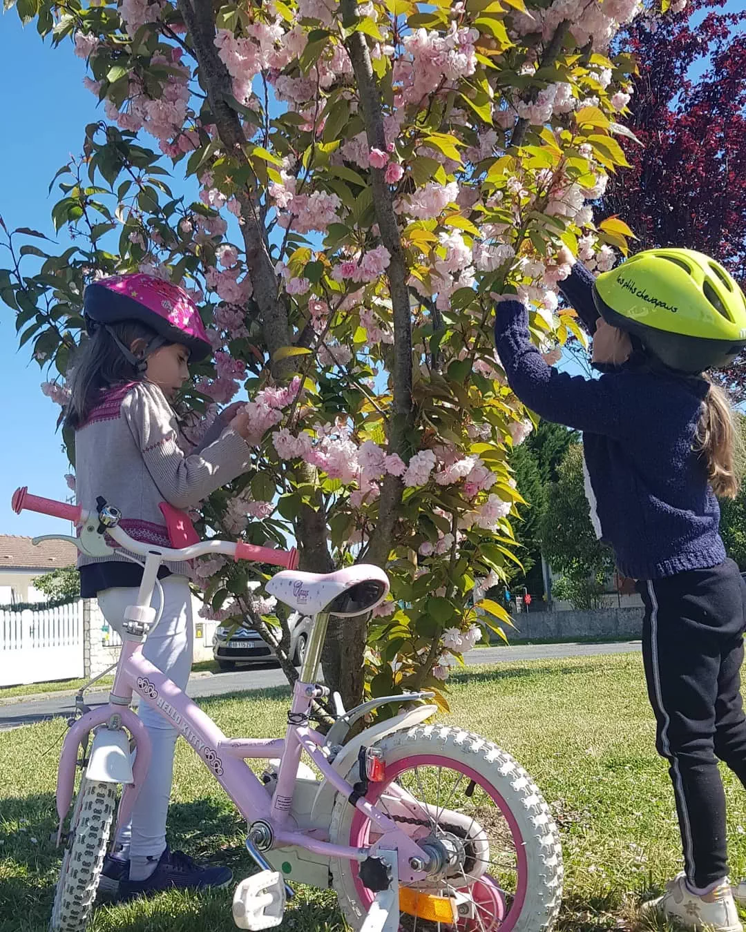 Garde d'enfant et activités