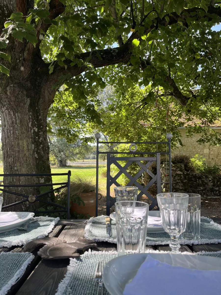 Le vieux tilleul sert d'ombre aux repas installés dehors près du barbecue.