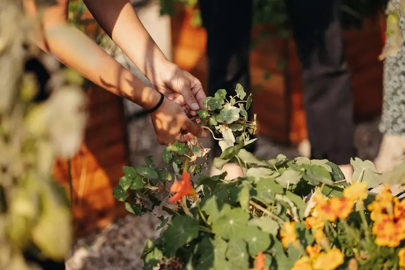 Ferme urbaine et ateliers