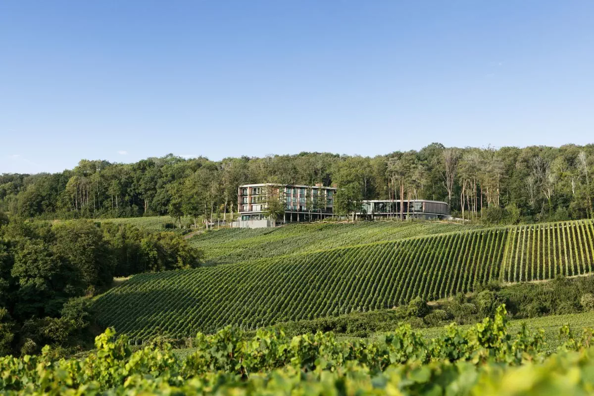 Hôtel au coeur des vignes