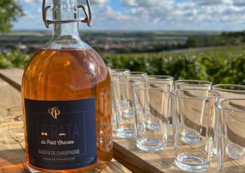 Activité teambuilding à travers notre vignoble