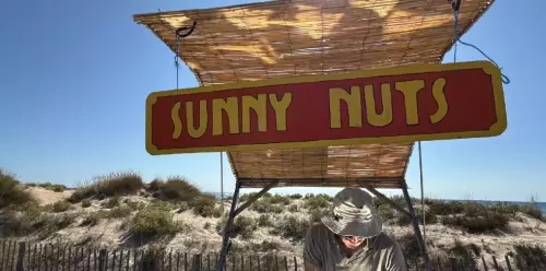 Annimation innovante de production d'amandes et noisettes torréfiées et caramélisées à partir d'une cuisinière solaire