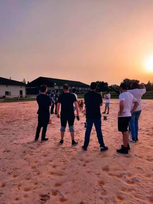 Teambuilding avec des chevaux en occitanie