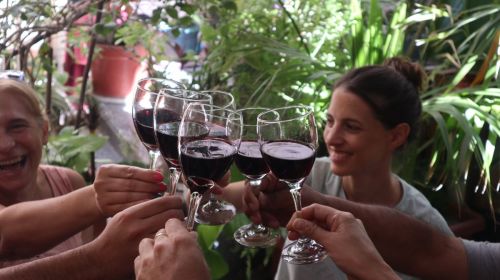 Dégustation de vins argentins en Loire-Atlantique