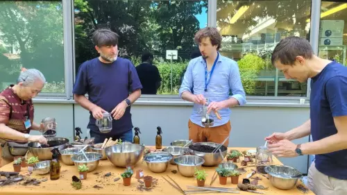 Atelier couronne de noël sur Paris